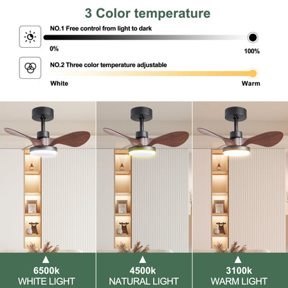 24 lnch Ceiling Fan with Lights Remote Control, Small Ceiling Fan 3 Reversible Blades, Low Profile Ceiling Fan for Kitchen Bedroom Dining Room, 3 Colors, 6 Speeds