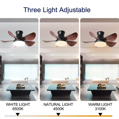 28 Inch Ceiling Fans with Lights and Remote, Modern Indoor Outdoor Ceiling Fans with Light, 5 Blades Ceiling Fan Light with DC Motor for Bedroom