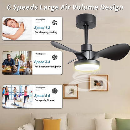 24" Ceiling Fan with Light Flush Mount ,18W Dimmable Small Low Profile Modern 6-Speeds Quiet Reversible Timer with 3 Blades Remote Ceiling Fan for Bedroom,Kitchen