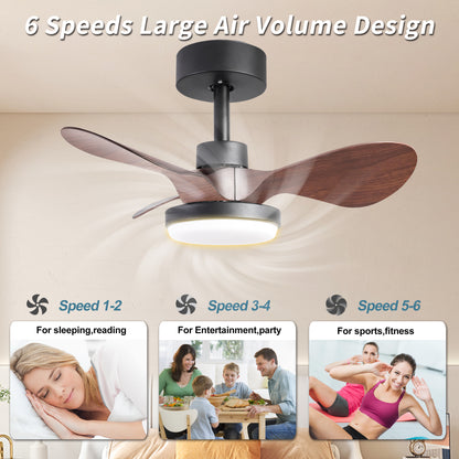 24 lnch Ceiling Fan with Lights Remote Control, Small Ceiling Fan 3 Reversible Blades, Low Profile Ceiling Fan for Kitchen Bedroom Dining Room, 3 Colors, 6 Speeds