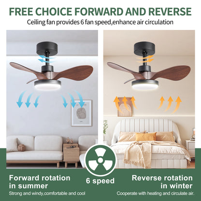 24 lnch Ceiling Fan with Lights Remote Control, Small Ceiling Fan 3 Reversible Blades, Low Profile Ceiling Fan for Kitchen Bedroom Dining Room, 3 Colors, 6 Speeds